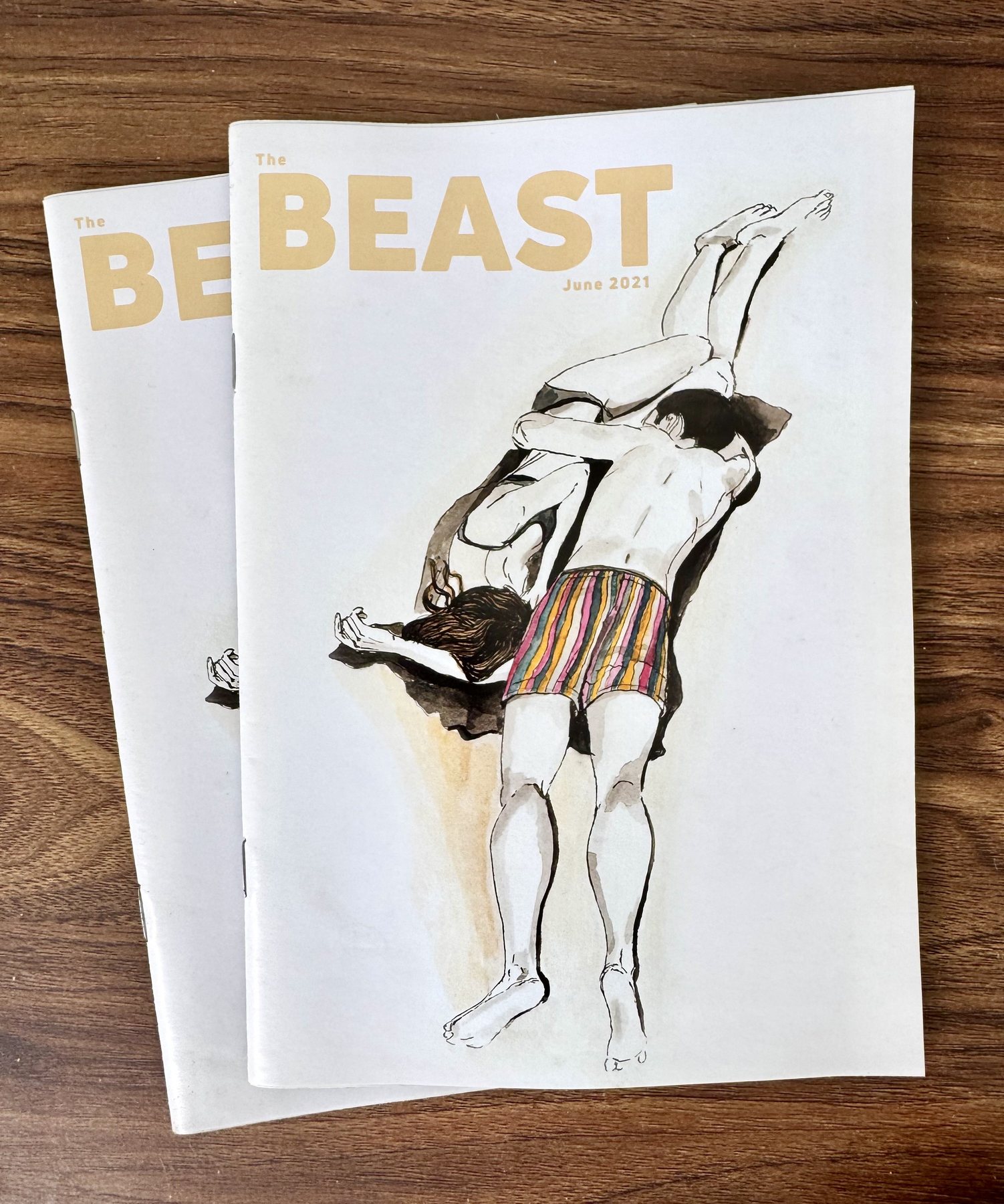 The Beast — Local Artist: Rosario López